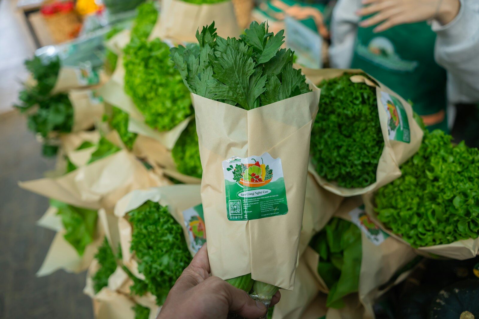 A hand holds a bundle of fresh green leafy vegetables.