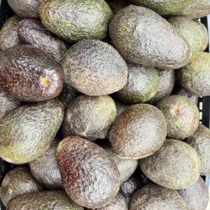 A large pile of ripe avocados in a market bin.